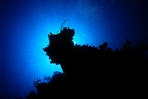 silhouette.jpg (15856 bytes)